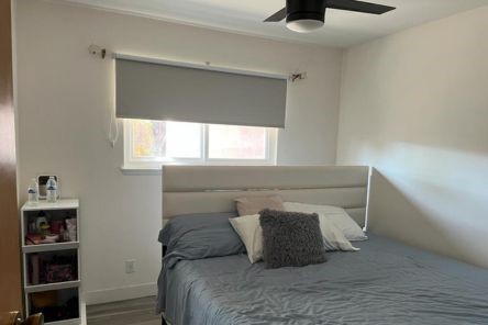 Close-up of pull down blackout roller shades partially covering a bedroom window, demonstrating effective light blocking and privacy.