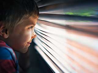 Irvine's Best Privacy Blinds | Blinds & Shades Irvine CA Irvine's Best Privacy Blinds | Blinds & Shades Irvine